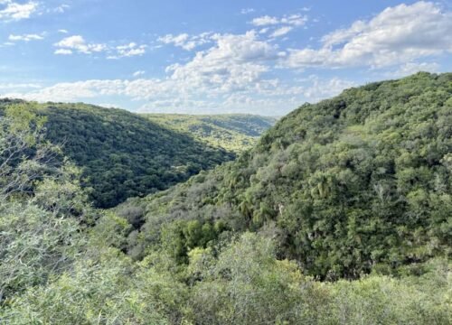 La riqueza biológica de las Quebradas del Norte