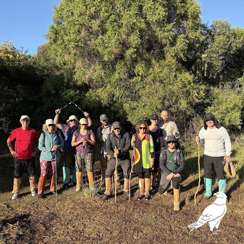 canon-de-laureles-el-gavilan-valle-del-lunarejo