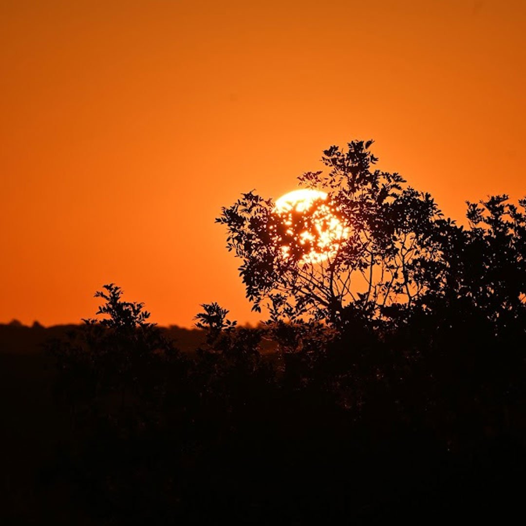 Lunarejo al Máximo - Imagen 4