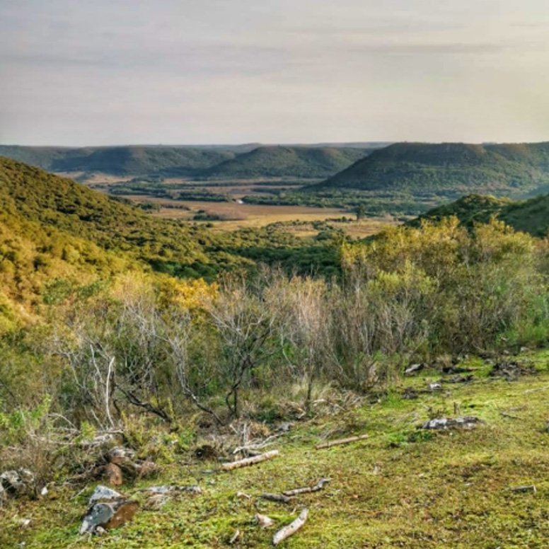Quebrada del Gavilán - Imagen 6