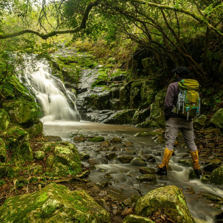 Quebrada del Gavilán - Imagen 5