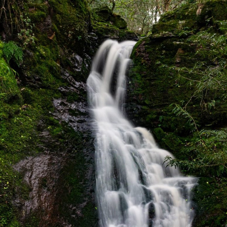 Quebrada del Gavilán - Imagen 4