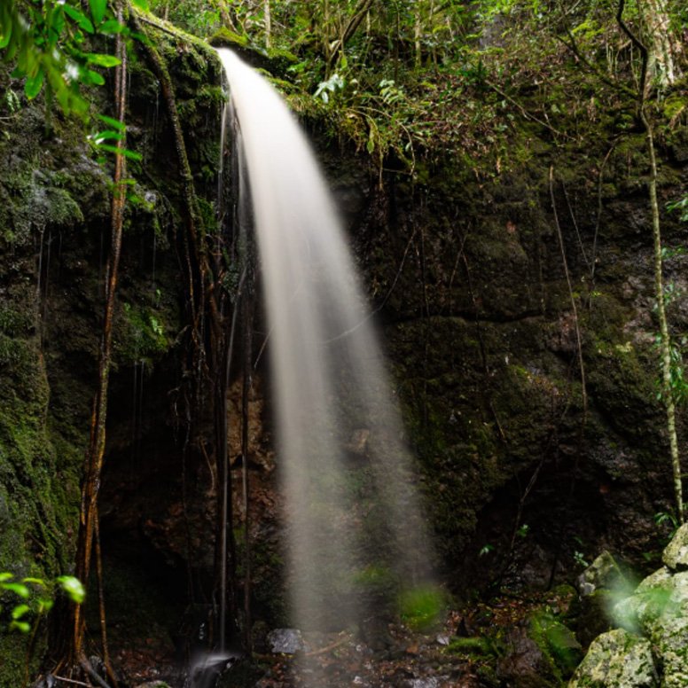 Quebrada del Gavilán - Imagen 3