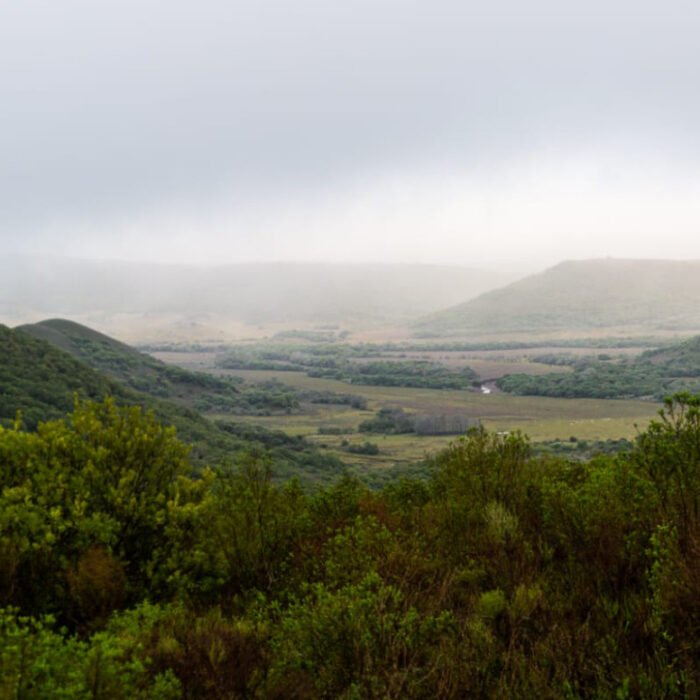 Quebrada del Gavilán