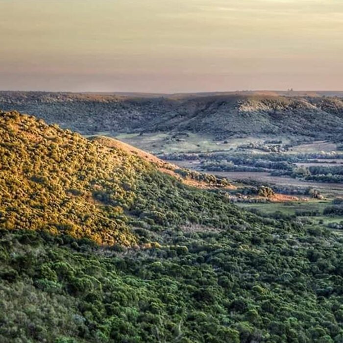 Quebrada del Gavilán