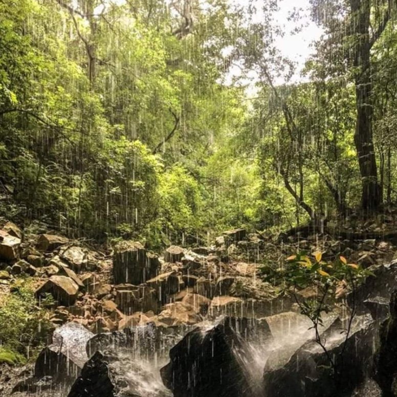 Senda al Rubio chico - Imagen 6