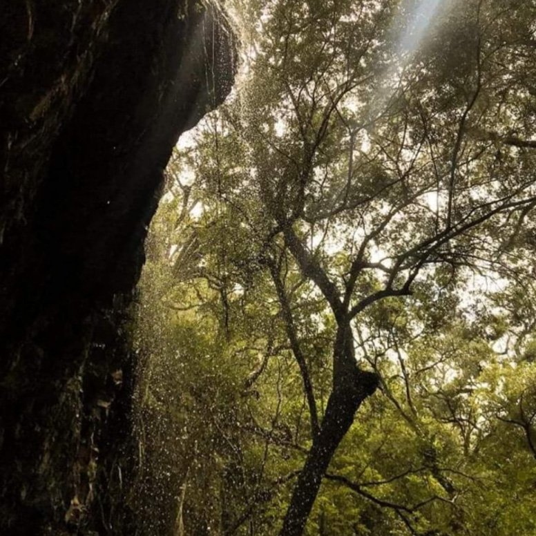 Senda al Rubio chico - Imagen 5