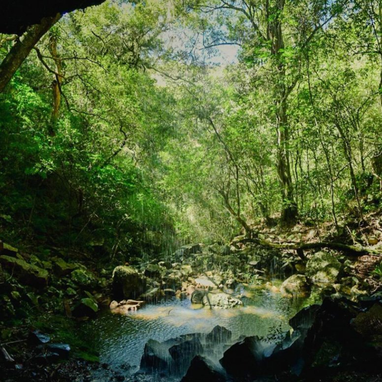 Senda al Rubio chico - Imagen 4