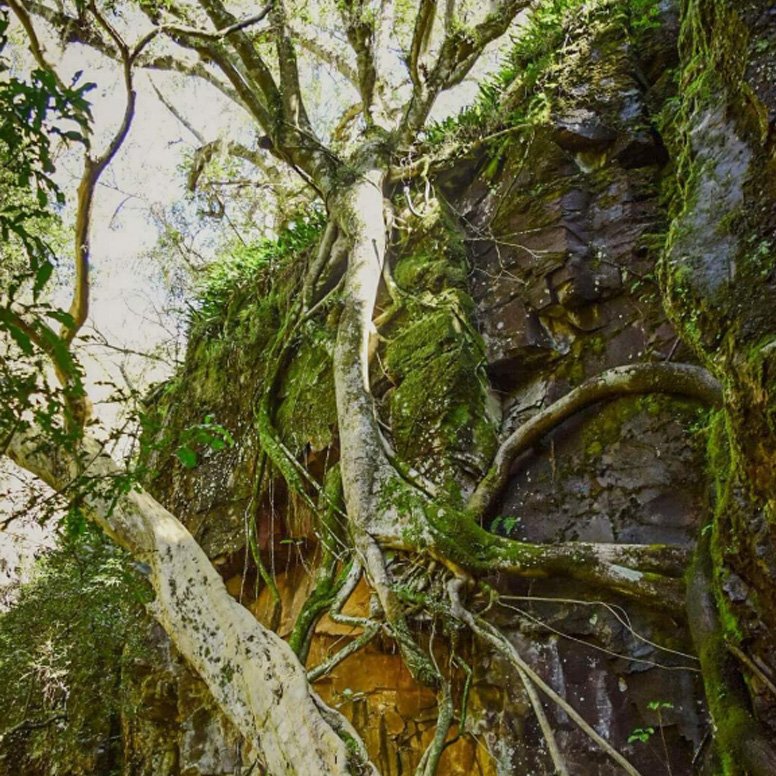 Senda al Rubio chico - Imagen 3