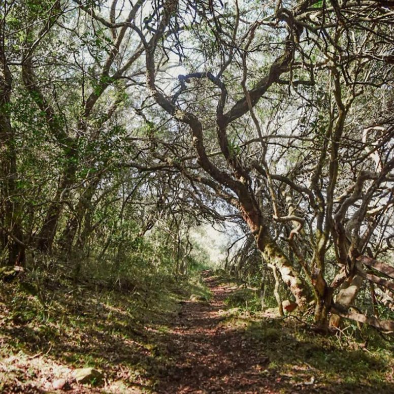 Senda al Rubio chico - Imagen 2