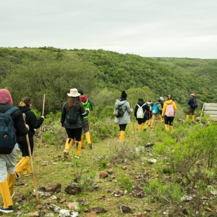 Senda al Rubio chico