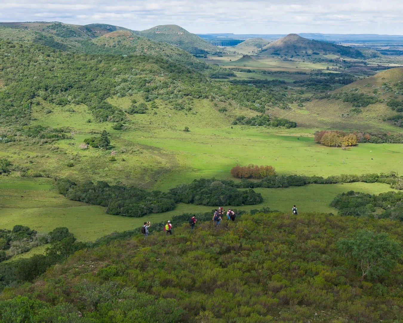 Lee más sobre el artículo El Liceo Nueva Palmira en El Valle del Lunarejo