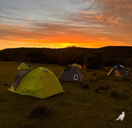 Campamento de Verano en Cascadas - Imagen 4