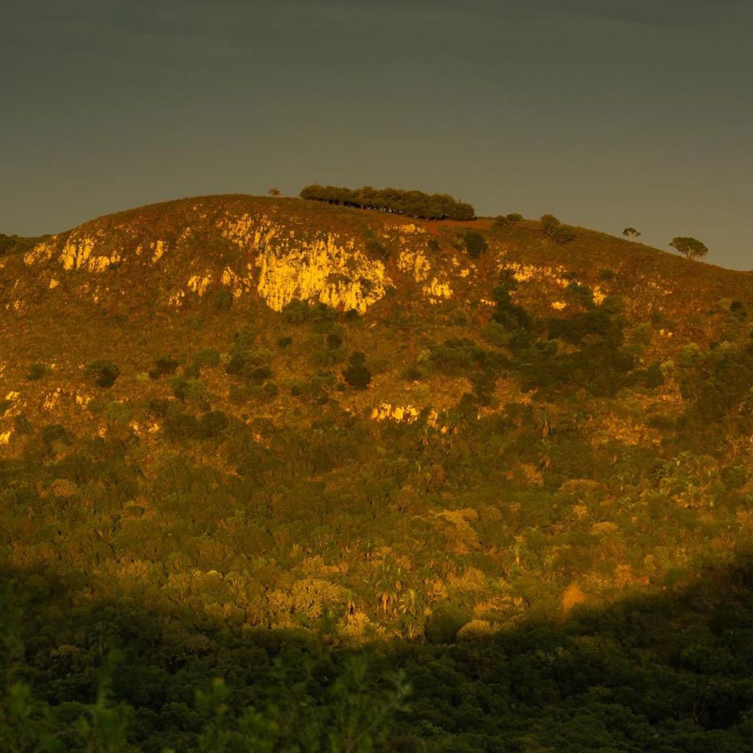 Trekking del Amanecer 🌄 - Imagen 6