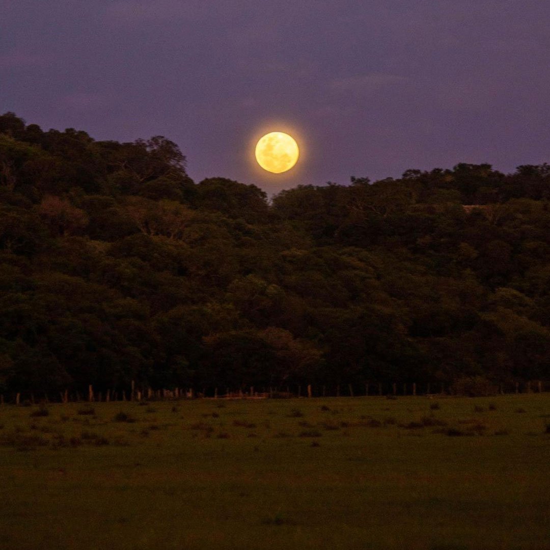 Trekking del Amanecer 🌄 - Imagen 7