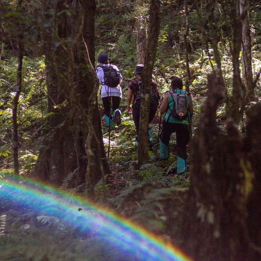 Trekking del Amanecer 🌄 - Imagen 8