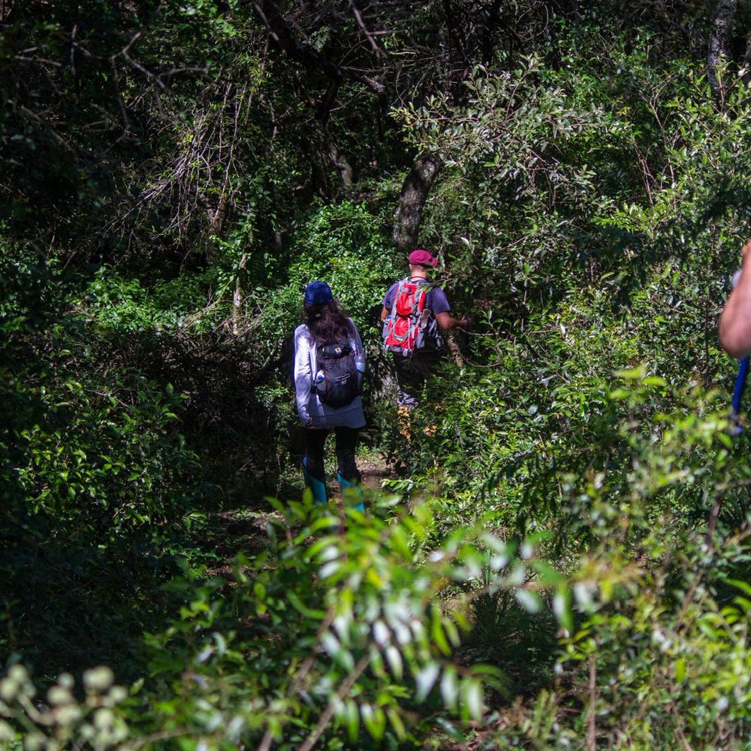 Trekking del Amanecer 🌄 - Imagen 9