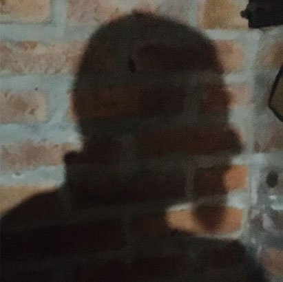 Leonardo