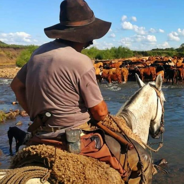 Caballo por el Lunarejo