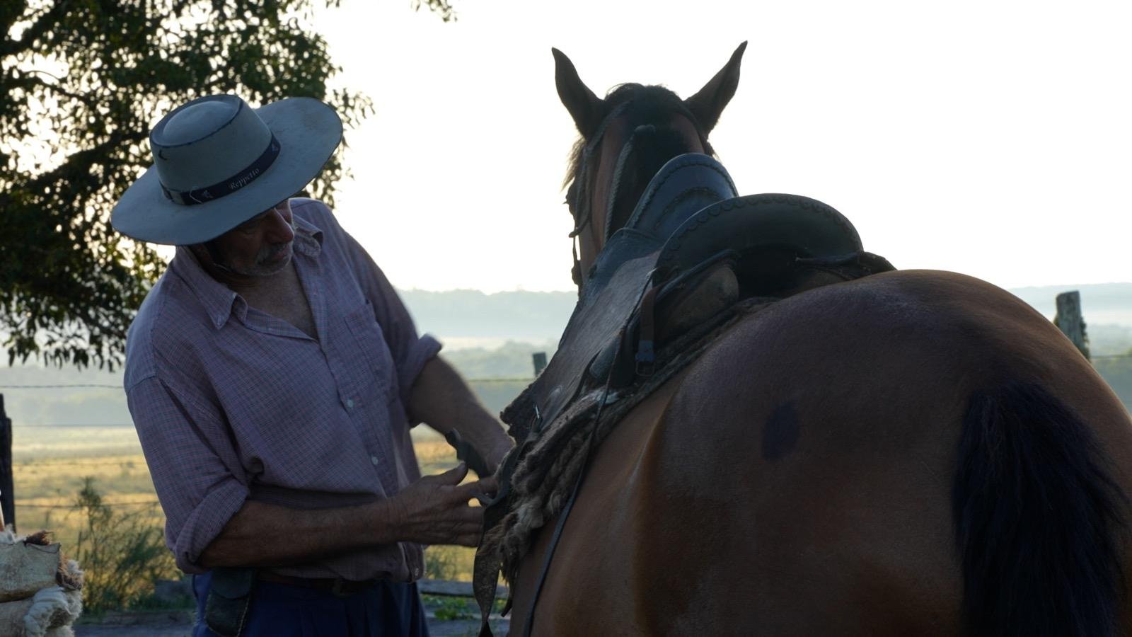 Trabajo con caballos en El Gavilán